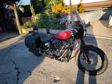 Harley Davidson Softail Street Bob 107