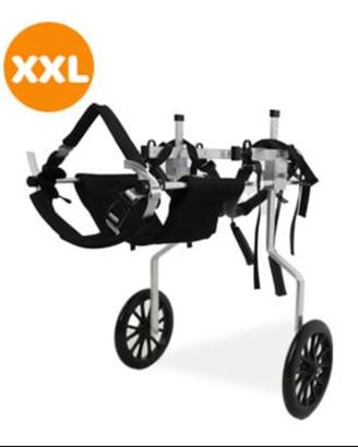 Carrellino per cane disabile