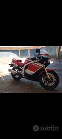 Suzuki gsxr 1100-750 86 87 CERC O fianco  carena 