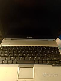 portatile toshiba