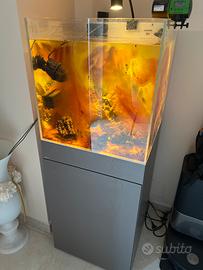 Acquario AQPET 50x50x50