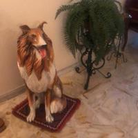 Statua Cane Collie