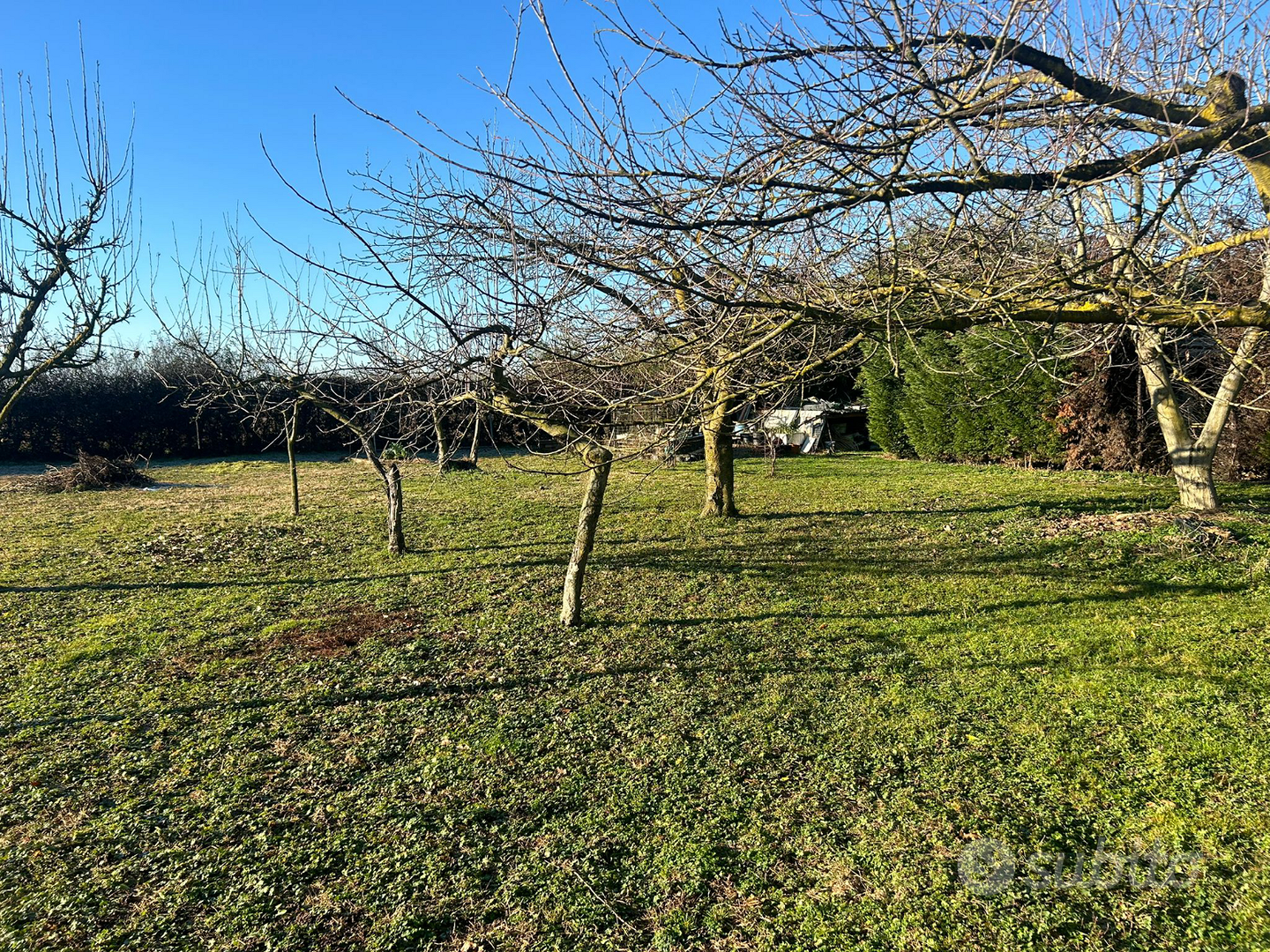 Terreno agricolo - Vista 6