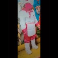 Costume di carnevale Cuoca "Pegasus"