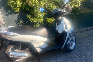 scootet sh 125