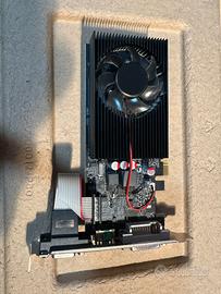 Scheda Grafica GT730 da 2 GB, DDR3, 64 Bit, PCI Ex