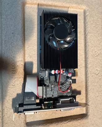 Scheda Grafica GT730 da 2 GB, DDR3, 64 Bit, PCI Ex
