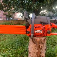 Motosega oleomac 956 professionale