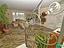 Immagine 29