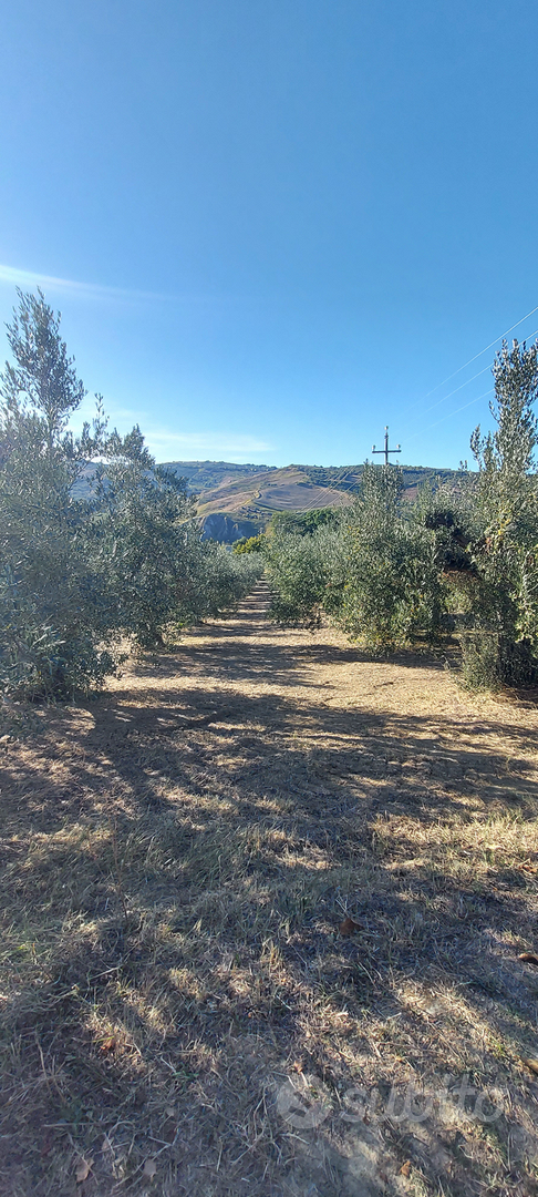 Terreno agricolo - Vista 2