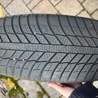 Nexen all weather 225/60 R17 103V