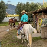 Performance Horses Franciacorta asd