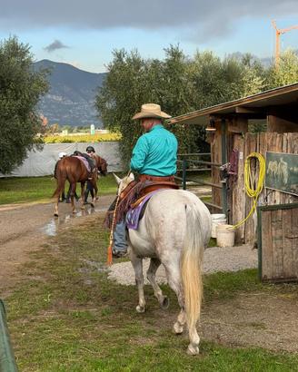 Performance Horses Franciacorta asd
