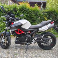 Aprilia shiver 900