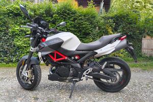 Aprilia shiver 900