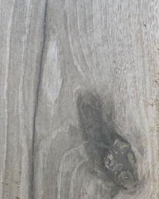 Piastrelle in gres da interno - simil legno