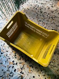 Cassette in plastica 20 pezzi