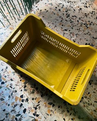 Cassette in plastica 20 pezzi