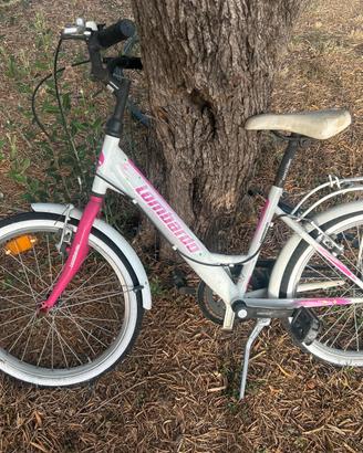 Bicicletta