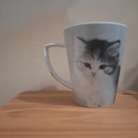 Tazza grande a tema gattini
