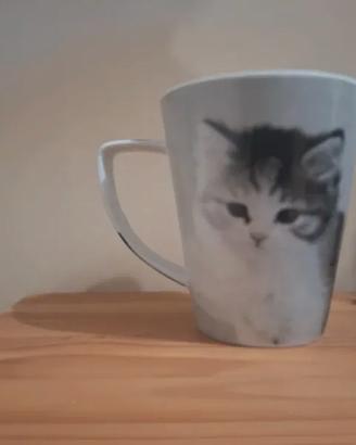 Tazza grande a tema gattini
