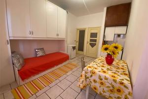 BOCCONI - LIBERO DAL 1 APRILE