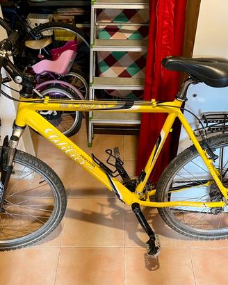 MTB Wilier Triestina 26”