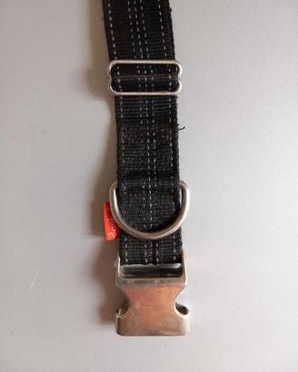 collare nylon cani grossa taglia molto robusto
