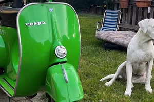 Vespa 50 special