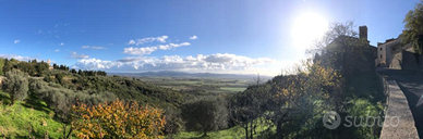 Terreno Uliveto Frutteto Giuncarico Maremma