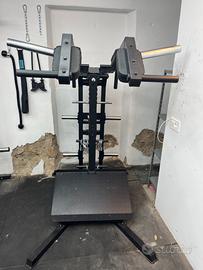 Pendulum Squat - viking press - calf raises