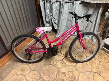 Bici da bambina 24