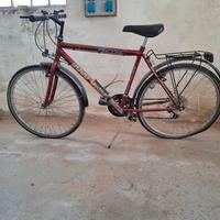 Mountainbike con cambio shimano