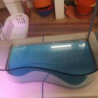 terrario acquario