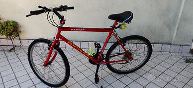 Mountain bike bottecchia 