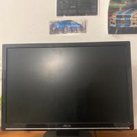 Monitor asus