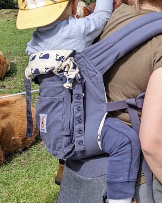 Marsupio Ergobaby