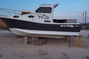 Pilotina delfino plaza