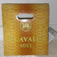Borsetta a mano B.CAVALLI