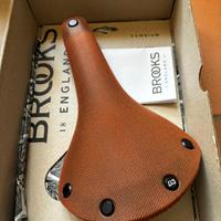 Brooks Cambium C17