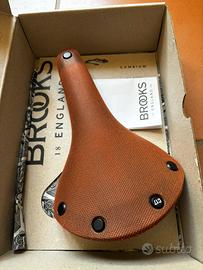 Brooks Cambium C17