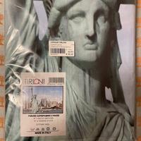 Copri piumino e federe cuscini due piazze new york