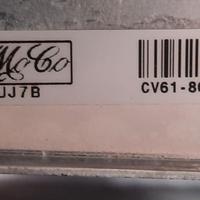 RADIATORE ACQUA FORD Kuga Serie (CBS) Diesel 2000