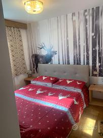 Appartamento in val di fiemme