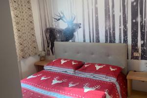 Appartamento in val di fiemme