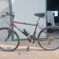 MTB ragazzo 