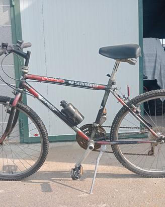 MTB ragazzo 