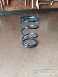 Molla di contrasto Malossi 