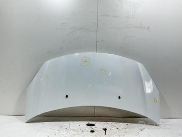 COFANO ANTERIORE CITROEN C3 2° Serie 7901R1 (05>1