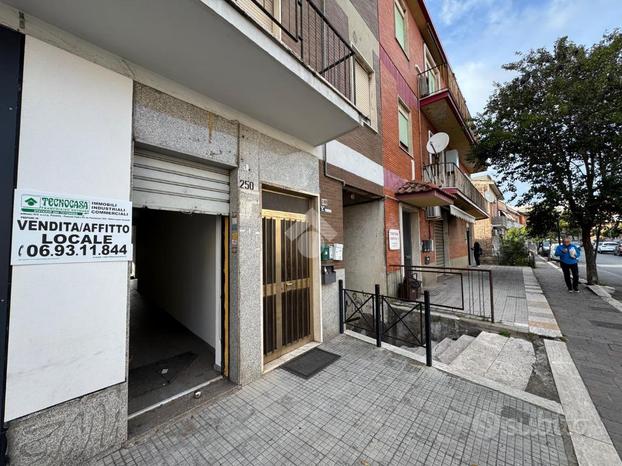 NEGOZIO A ALBANO LAZIALE